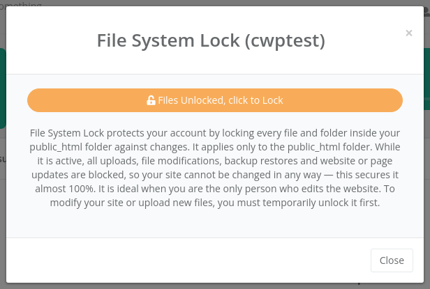 File System Lock window
