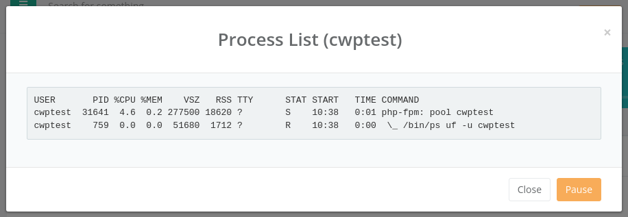 Process List window